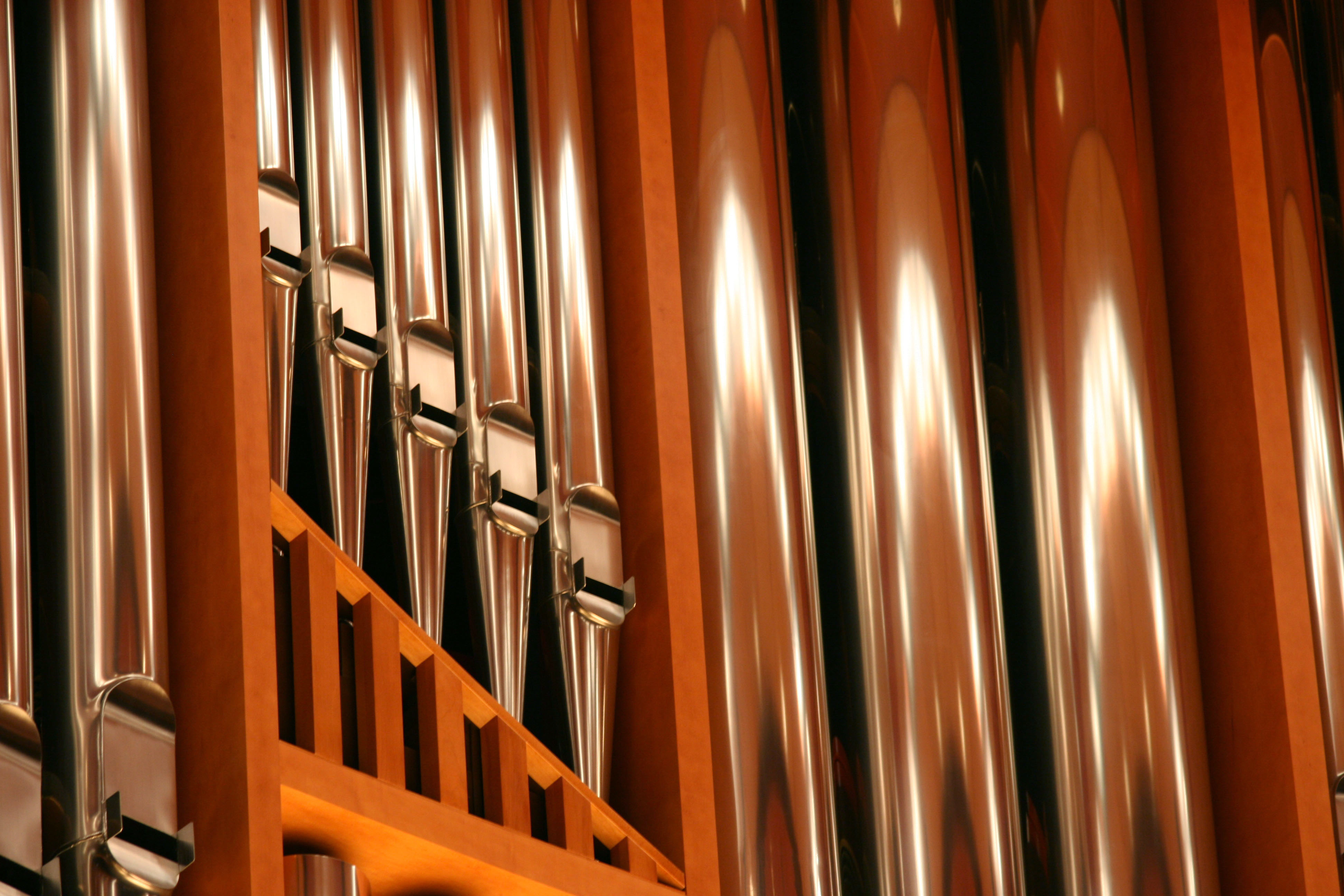 Organ 2